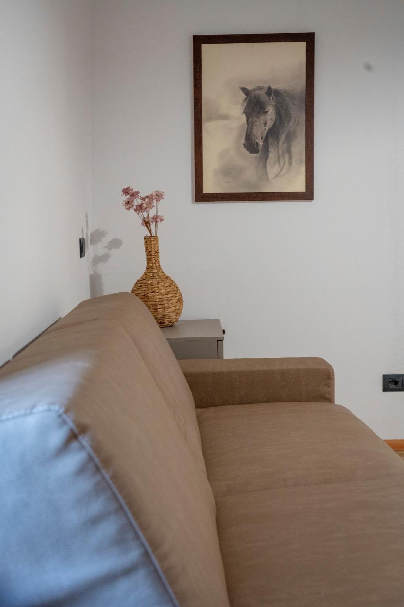 Agriturismo Ca Gianin Vervio Екстериор снимка
